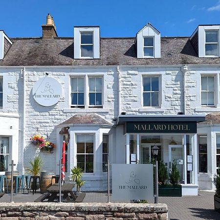 The Mallard Hotel Ґаллен Екстер'єр фото